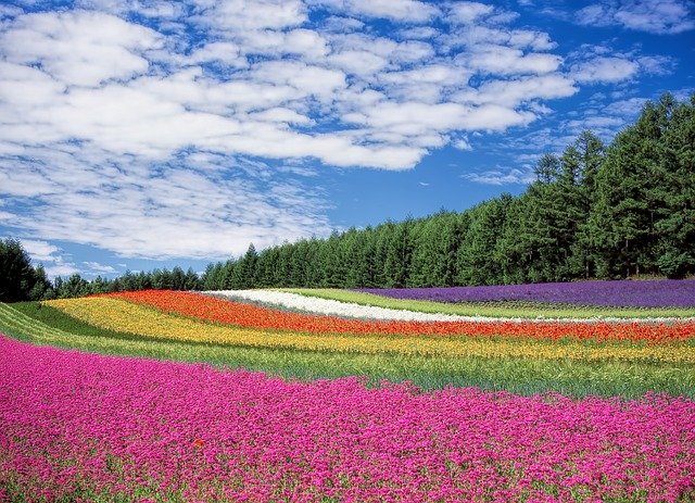 ひらめ 歌手 の顔画像や本名は ポケきゅん をmステで初顔出し カナコの虹色ブログ