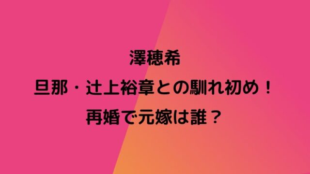 澤穂希の旦那辻上裕章との馴れ初め 再婚で元嫁は誰 イケメンと話題 カナコの虹色ブログ